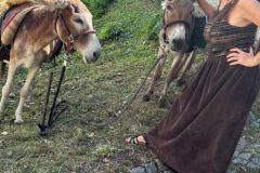 Patja mit Eseln auf dem Mittelalterfest Burg Schönfels